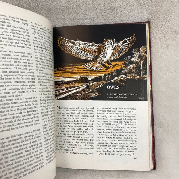 Vintage 1960 Book of Knowledge Annual by Grolier – Illustrated Science & Culture - Picture 7 of 11